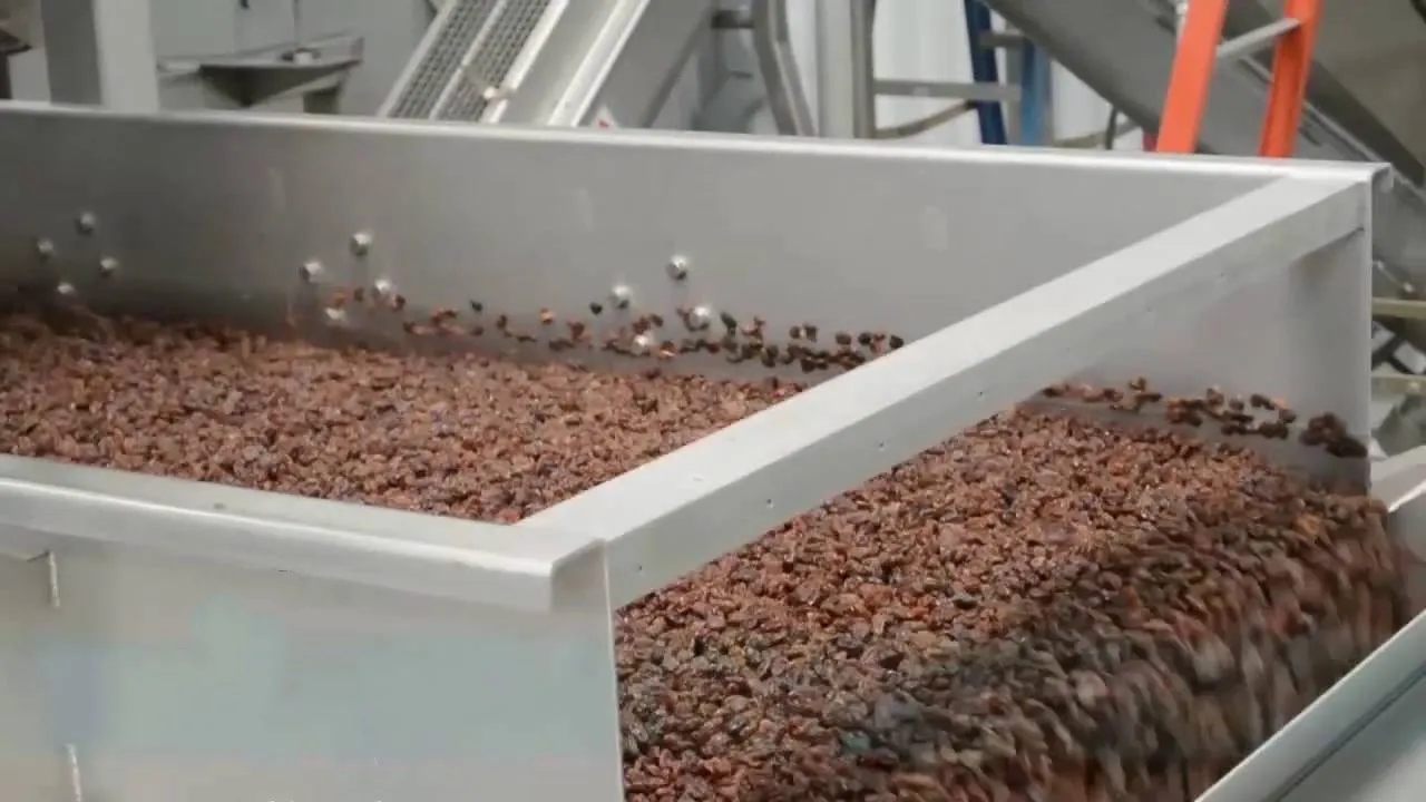 Full automatic 2000 kg raisin polishing machine raisin process line for food handling
