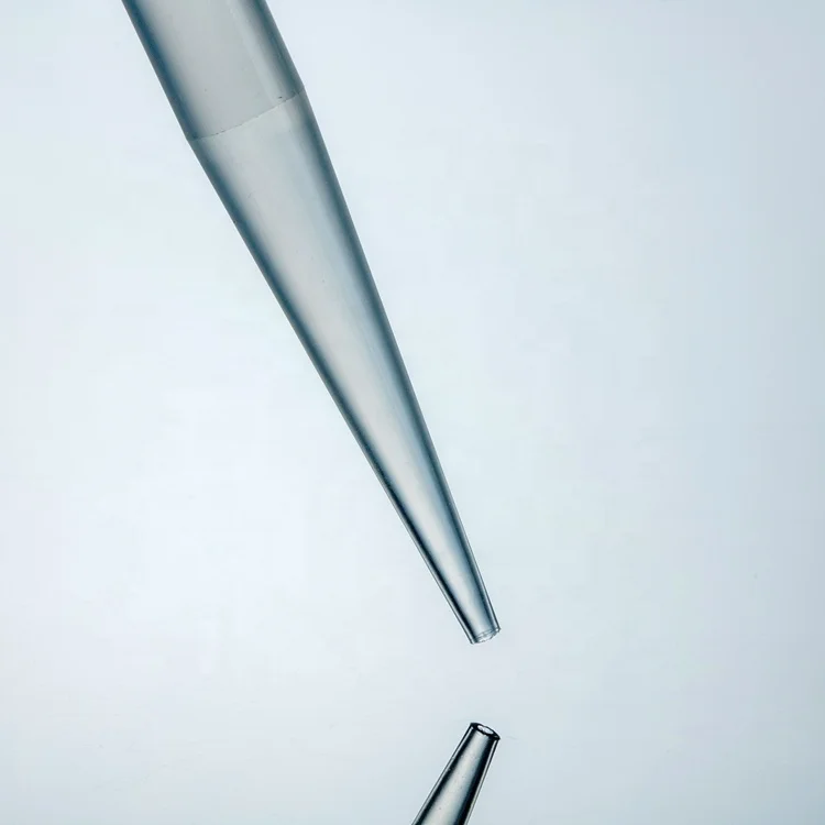 10ul 20ul 200ul Pipette Tips Autoclave PP Material Filter Pipette Tips With Small Mouth