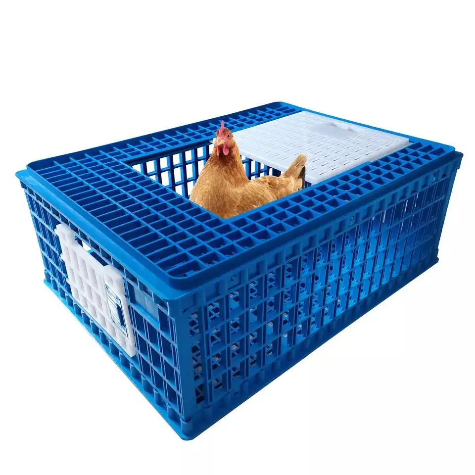 hot sell 75cm medium size transport cage for rooster broiler breeder