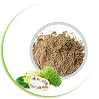 noni dried fruit powder