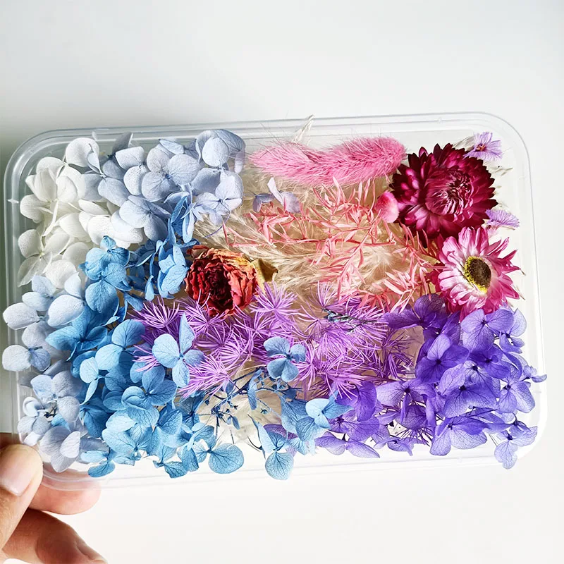 
Wholesale Cheap DIY High Quality Natural Dried Pressed Flower Mix for Handicraft Nail Decoration 
