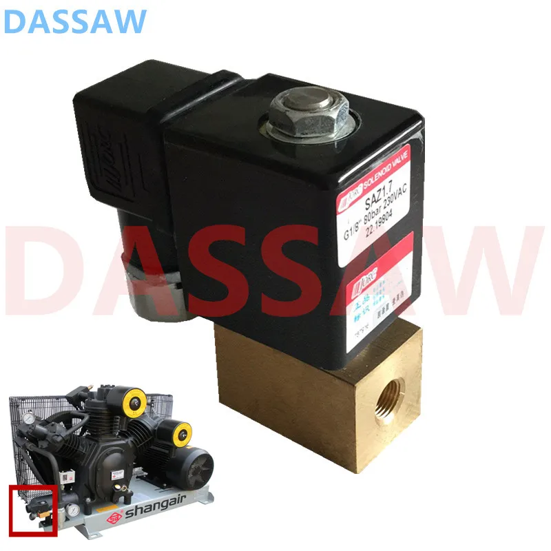 Original 40bar Shang Air Piston Air Compressors 09sh Spare Parts Solenoid Valve