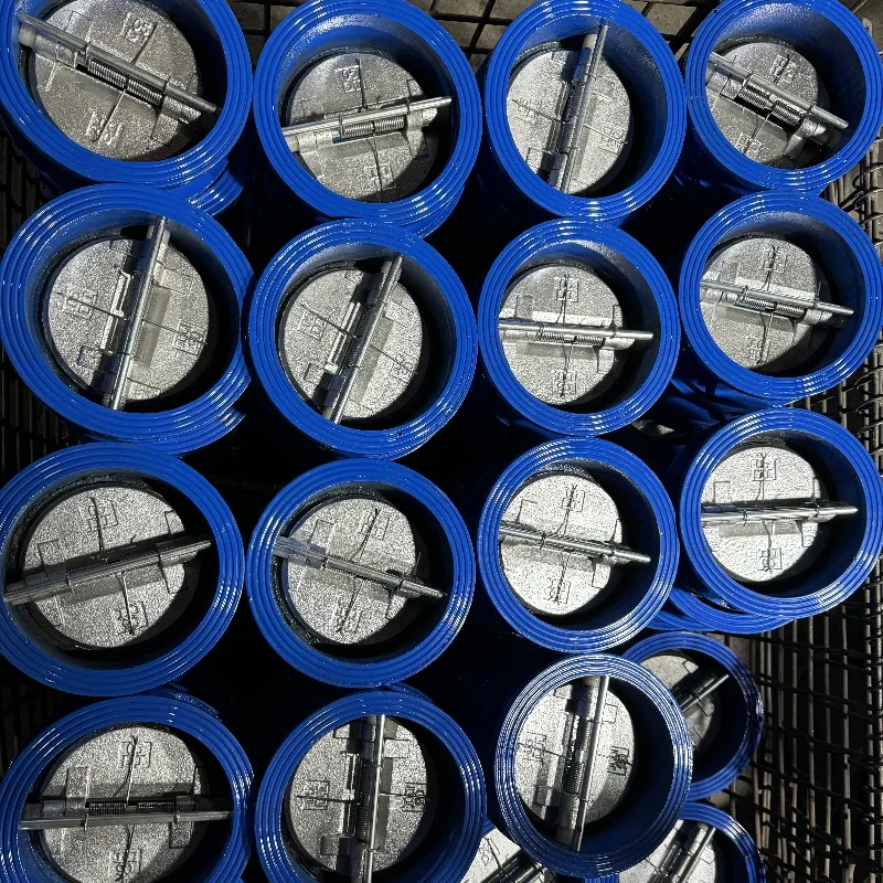 China supplier PN16 pressure GGG50 body SS304 disc wafer double disc check valve