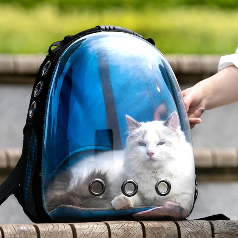 Hot selling   hpe smart carrier  APET polyester zaino Sac a dos mochila  cat backpack for travelling park