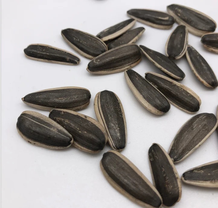 
Wholesale hunman food big size sunflower seeds 361 