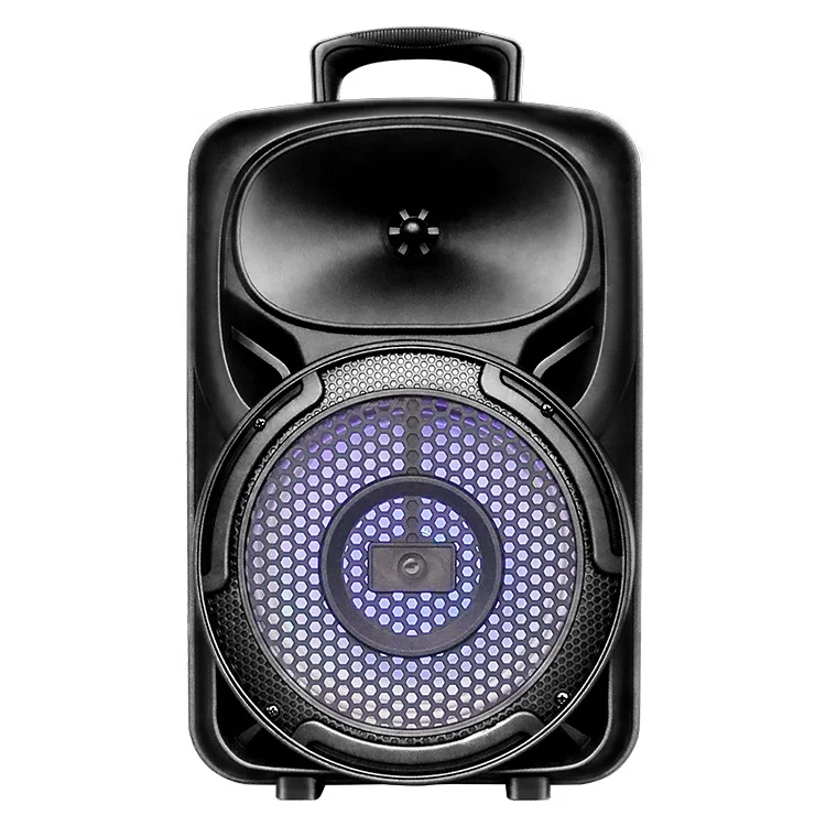 Factory OEM/ODM 8 inch Bluetooth Trolly Speaker Outdoor Mini Amplifier