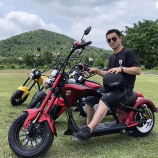 2023 New Model M1P EU warehouse electric motorcycle 3000W 30Ah 2000W 20Ah Wide Wheel Electric Citycoco Scooter