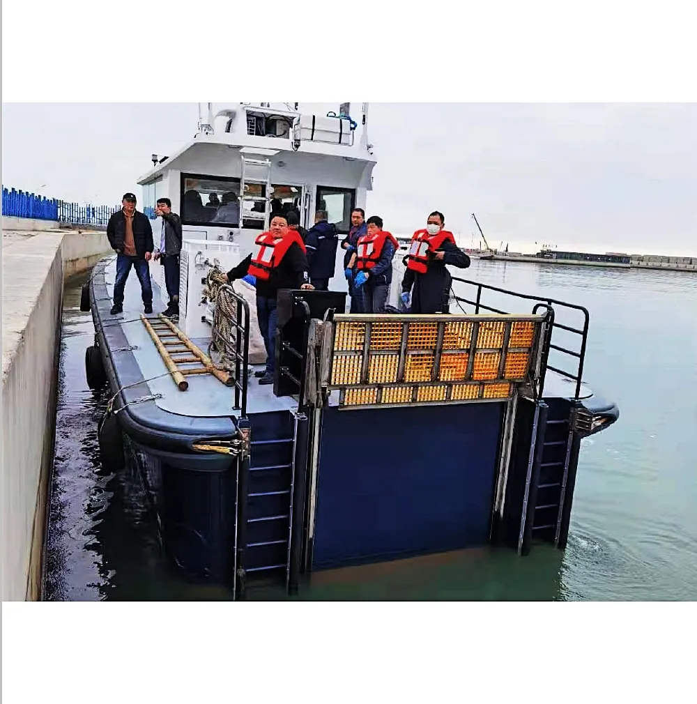 AM5PL_F21082717063908(1)