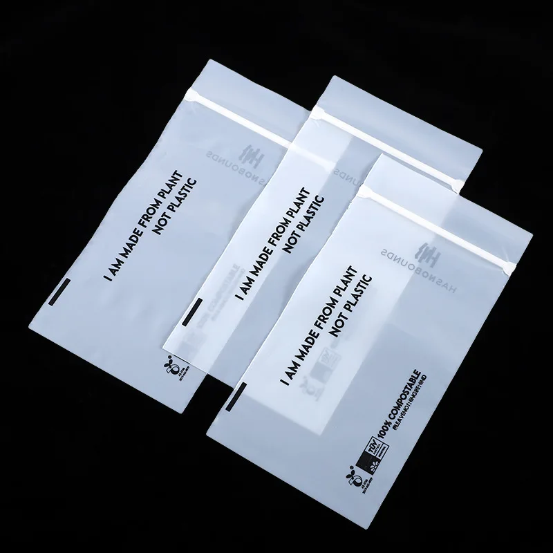 Wholesale Printing Logo Frosted Zipper Packing Plastic Poly Bag Custom Zipper Biodegradable Packaging For Clothing