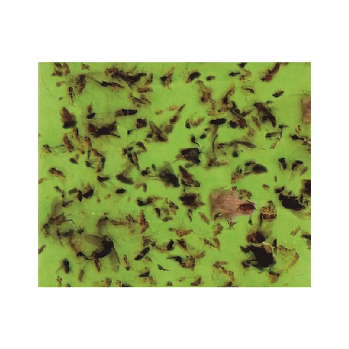 Japanese adhesive insect catcher brand adhesive tape for insect catcher