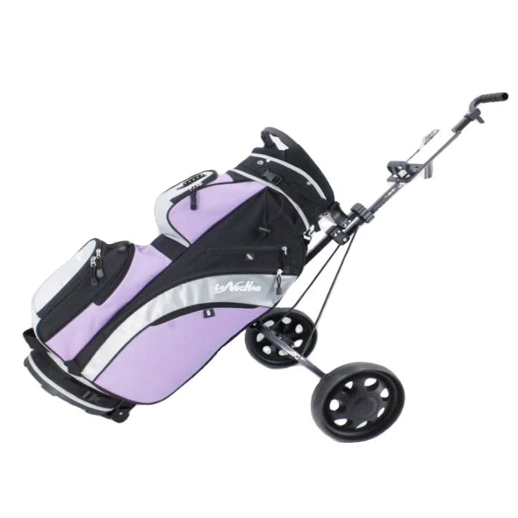 Dongguan Factory 2 Wheels Foldable Push Pull Golf Bag Trolley