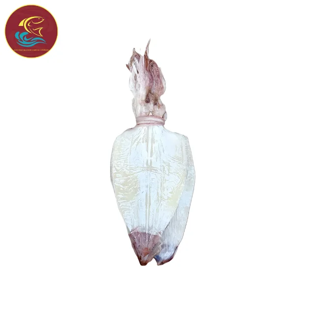 2024 Vietnam Whole Cleaned Dried Squid and Cuttlefish Size L Top Quality, Competitive Pricing, and Flexible Shipping Options