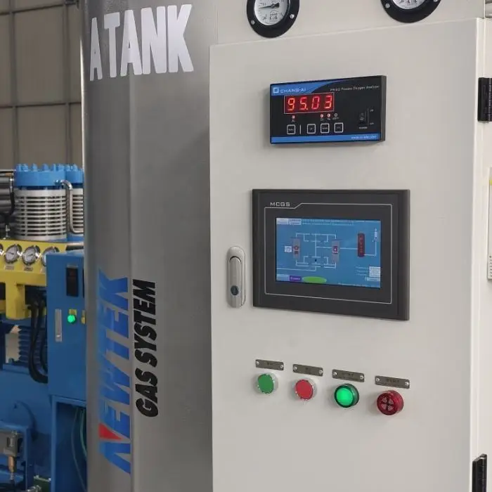 NEWTEK Brand Advanced Gas Generators 93% and 99% Skid psa Oxygen Plant