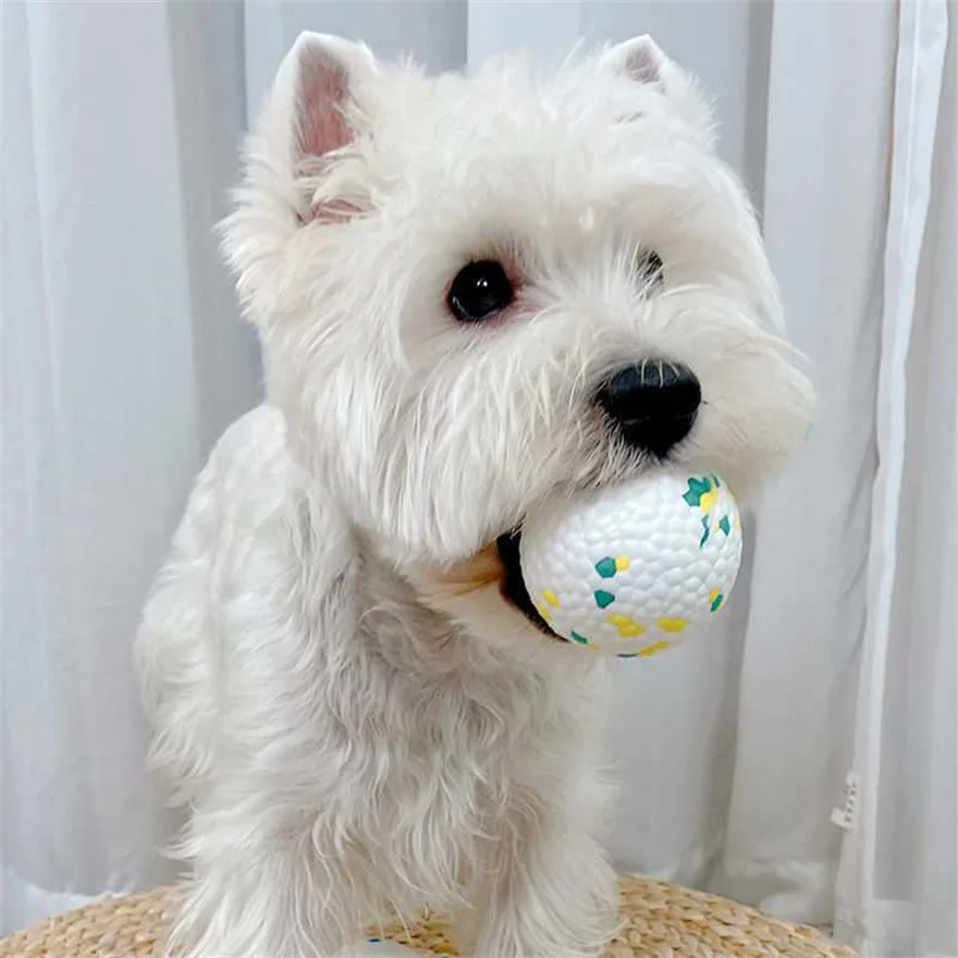 High Elasticity Pet Chew Ball ETPU Dog Puppy Outdoor Interactive Ball Toy Training Chew Ball Toys