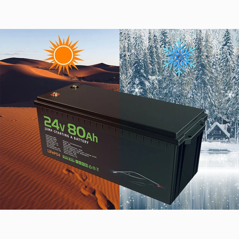 Аккумулятор LIFEPO4 12 В 24 36 48