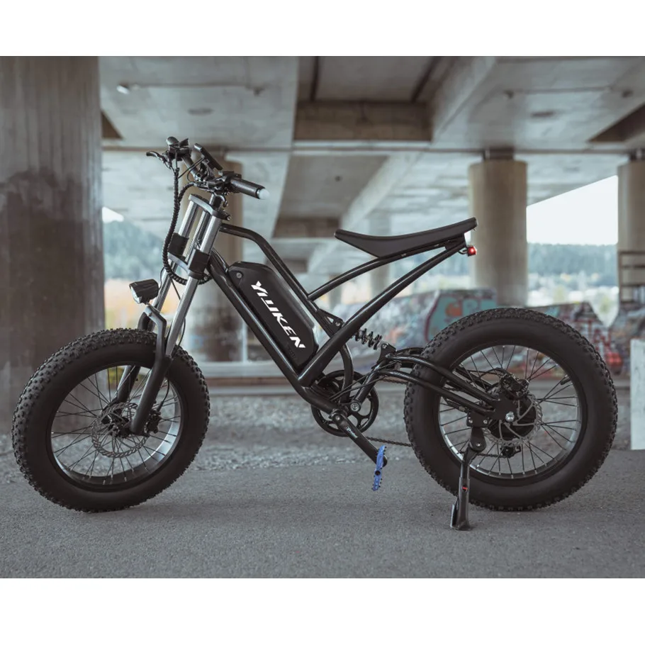 48V 500w 750w 1000w Power China Cheap Full Suspension Retro Vintage E Circle Ebike Dirt Mountain Fat Tire Bicycle Electric Bike