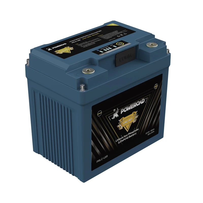 Longer Service Life Bluetooth 12V lifepo4 Lithium ion battery for Marine