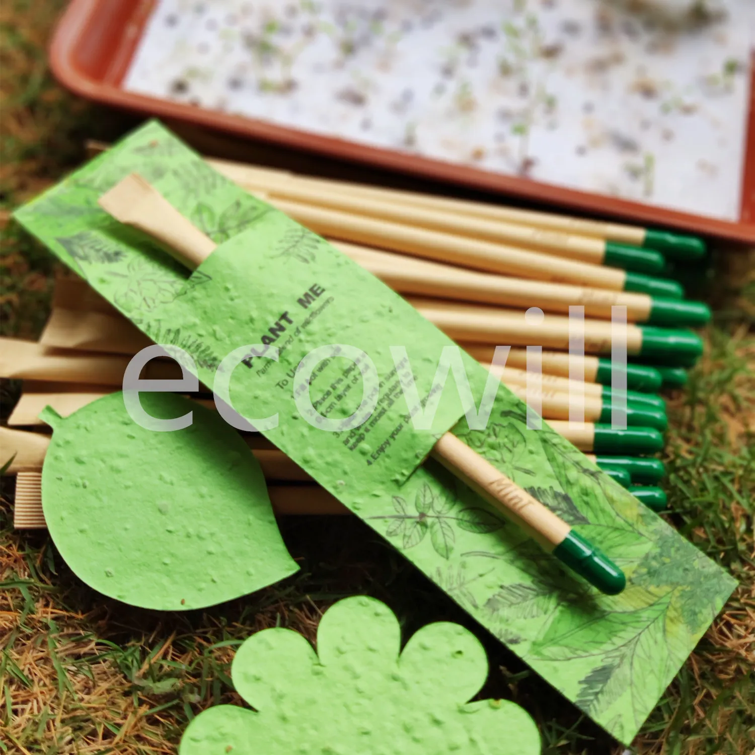 Поздравительная открытка с днем рождения с растительным глаголом семена вегетарианских цветов