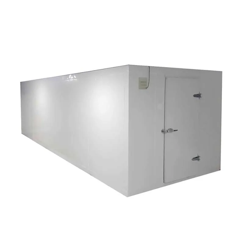 Industrial Electric Insulation PU Sandwich Panels Slide or Swing Cold Storage Doors for Rooms