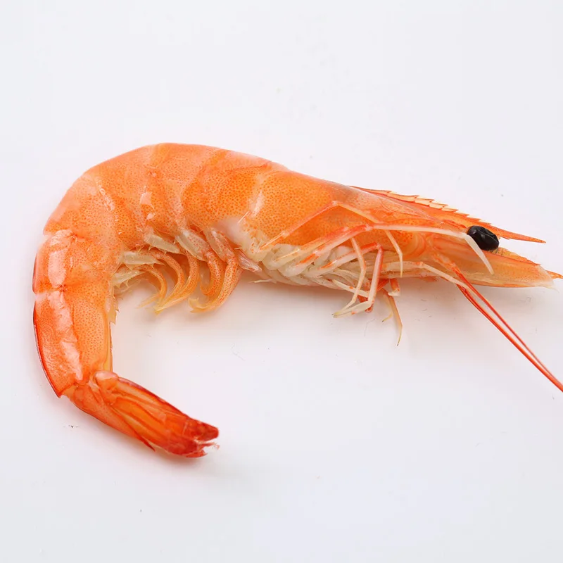 Хорошая цена, жизненно важная пшеница, глютен, бренд XINRUIGUAN для водного корма