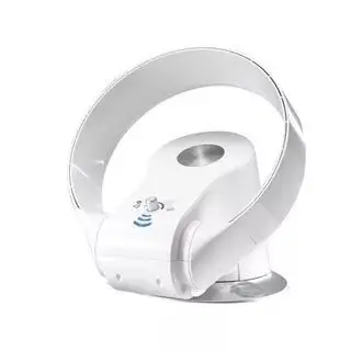 Wall mounted leafless fan bladeless fan