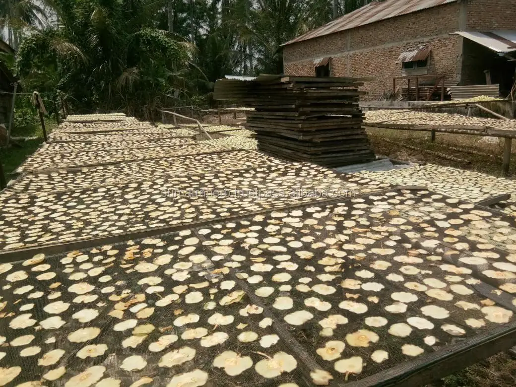 
Herbal Slimming Natural Garcinia Cambogia / Garcinia Atroviridis Dried Extract Origin Indonesia 