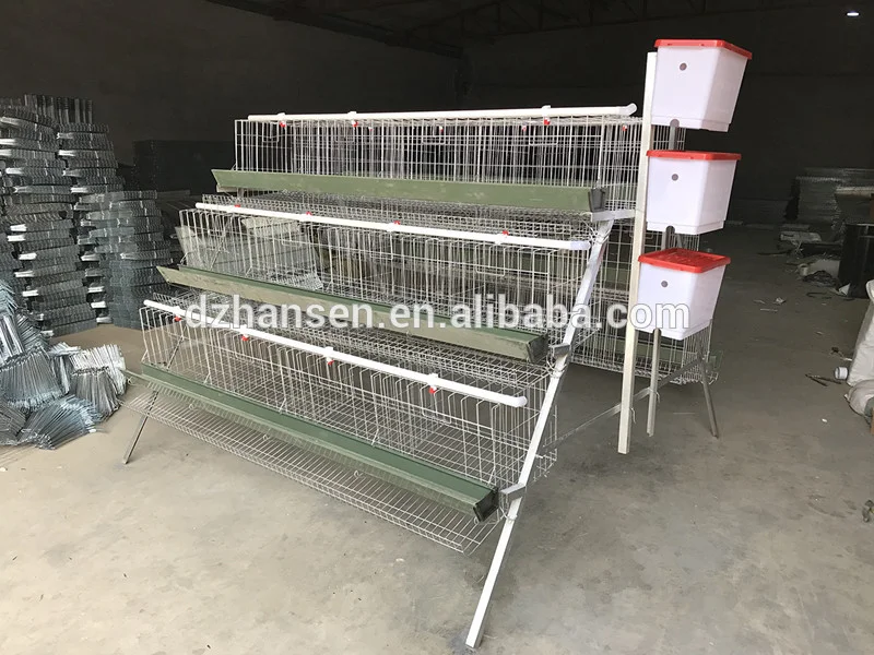 high quality cages chicken battery chicken cage for layer chicken poultry farm in Nigeria