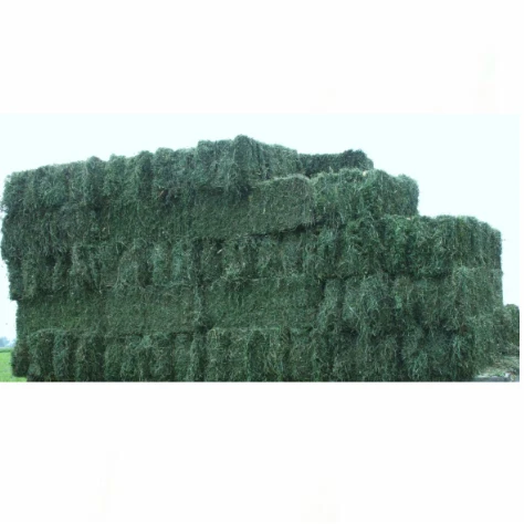 Factory Price Premium Quality Alfalfa Hay for Animal Feeding Stuff Alfafa Bales