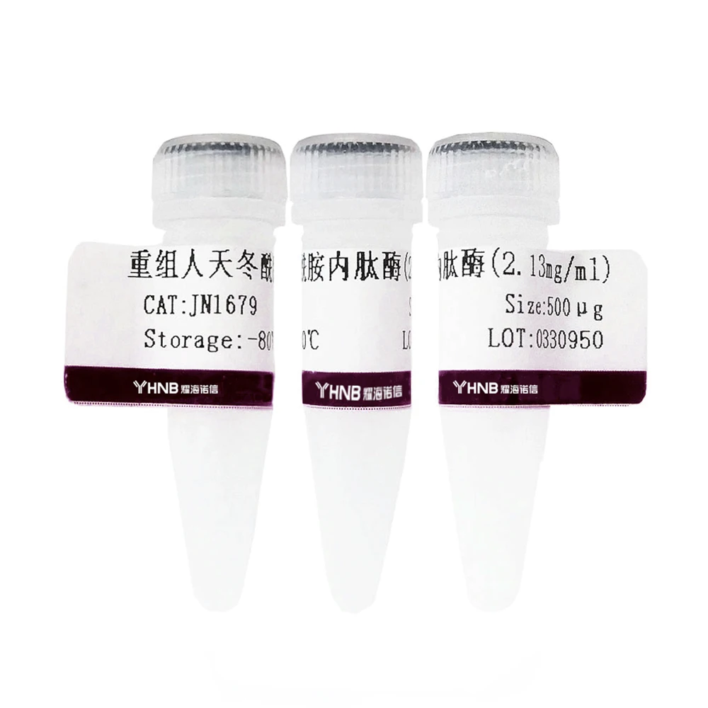 Hot Start Taq Polymerase National Level Lab Powder Manufacturer Hot Start Taq DNA Polymerase Powder CAS 9012-90-2