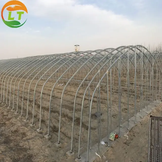 High strength Agricultural poly tunnel Green House/tomato greenhouse for sale