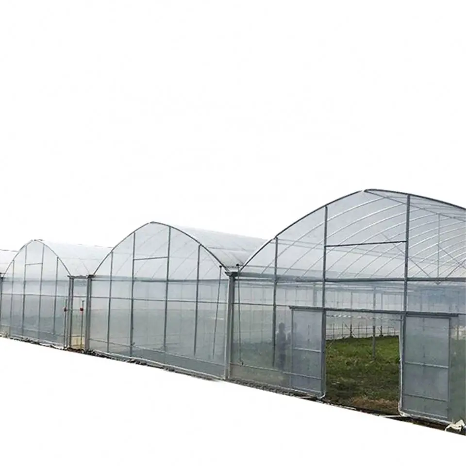 200 micron greenhouse film Pe Clear Plastic Film Roll/100% virgin LDPE greenhouse covering film for covering roof