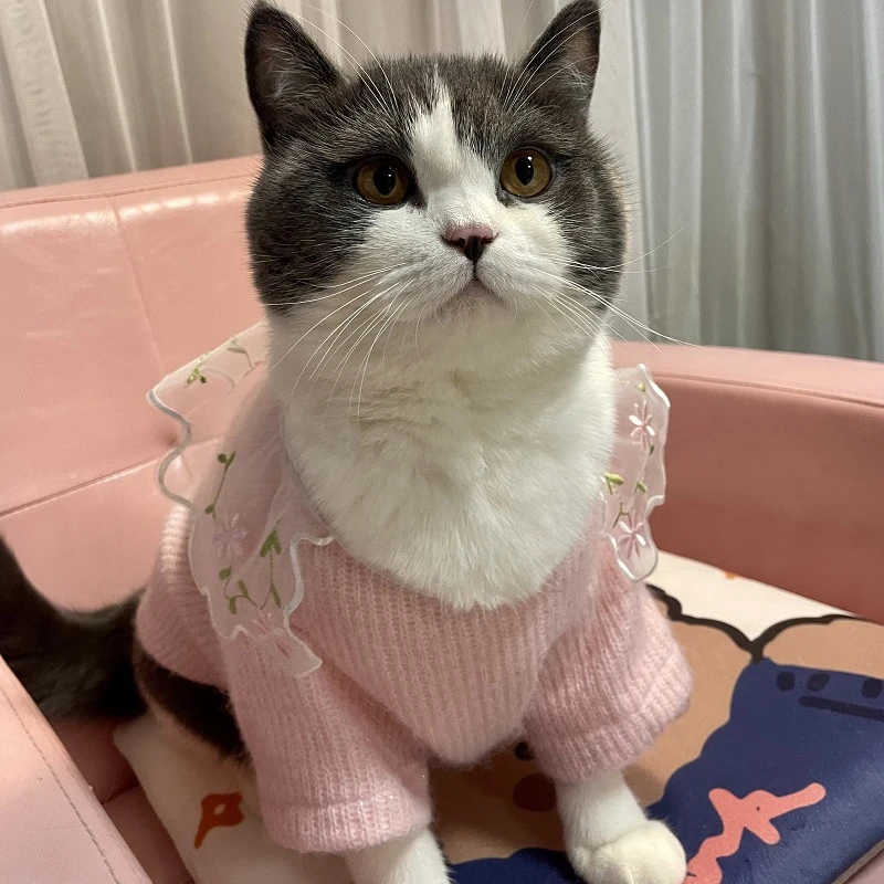 JXANRY  2022 Autumn Pet Flower Collar Soft Sweater Fashion Cat Cardigan Dog Popular Matching Pet Knitting Wear