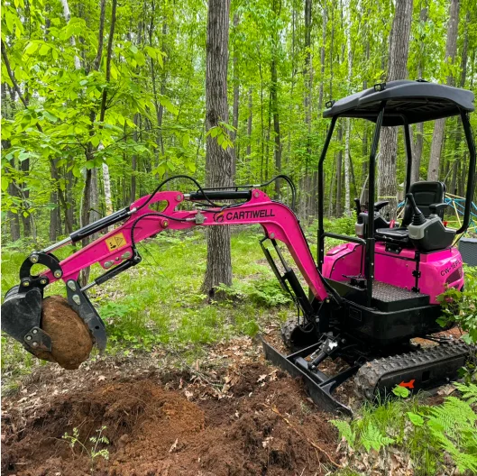 FREE SHIPPING EPA excavators minibagger mini digger Kubota Crawler Farm 1 ton Mini pelle mini excavator Prices