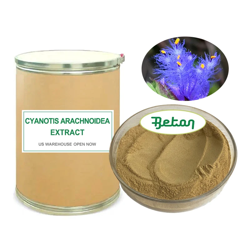 Экстракт Cyanotis Arachnoidea бета-эктистерон 50% 95% порошок 20-гидроксиэкдизон