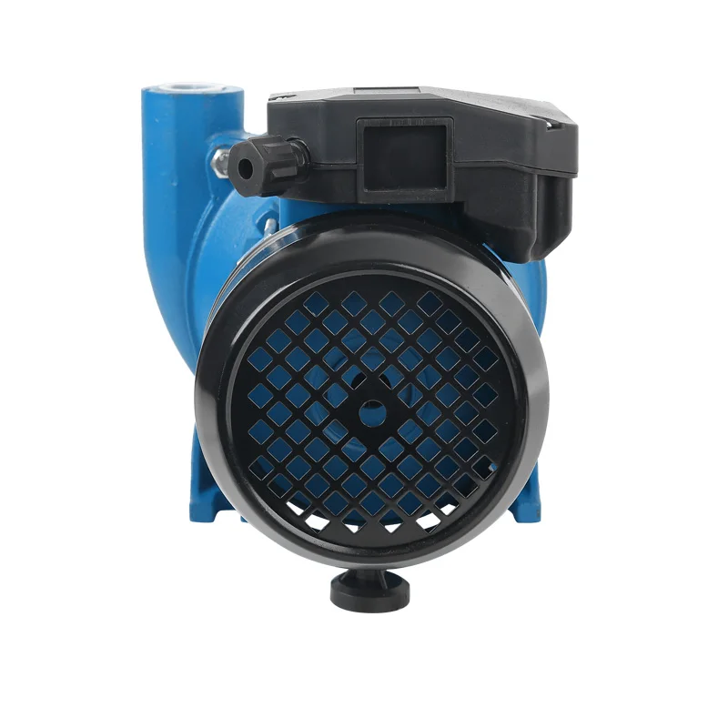 High Pressure 0.9HP Electric Water Pump Brass Impeller Single-Stage Centrifugal Pump Drinking Water Treatment Customizable OEM