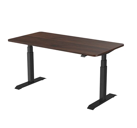 Ningbo Summit TS-R13SP Dual Motor 50mm/s Low Noise Height Adjustable  Standing Sitting Desk