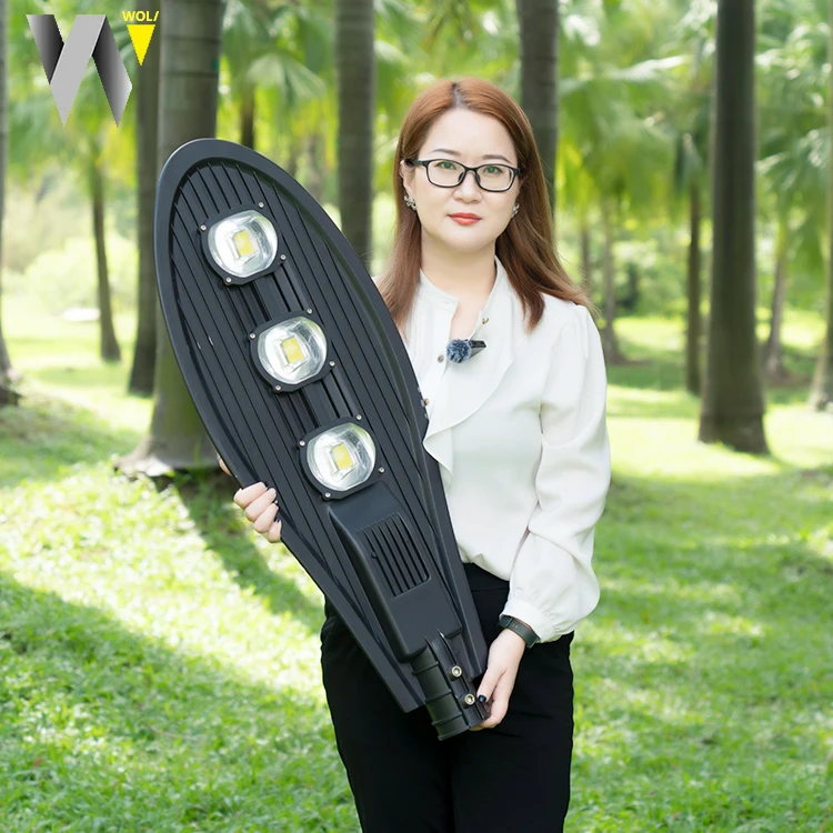 New Product Outdoor Led Street Lamp Ip66 Waterproof 30w 50w 100w 150w 200w 250w Led Street Light