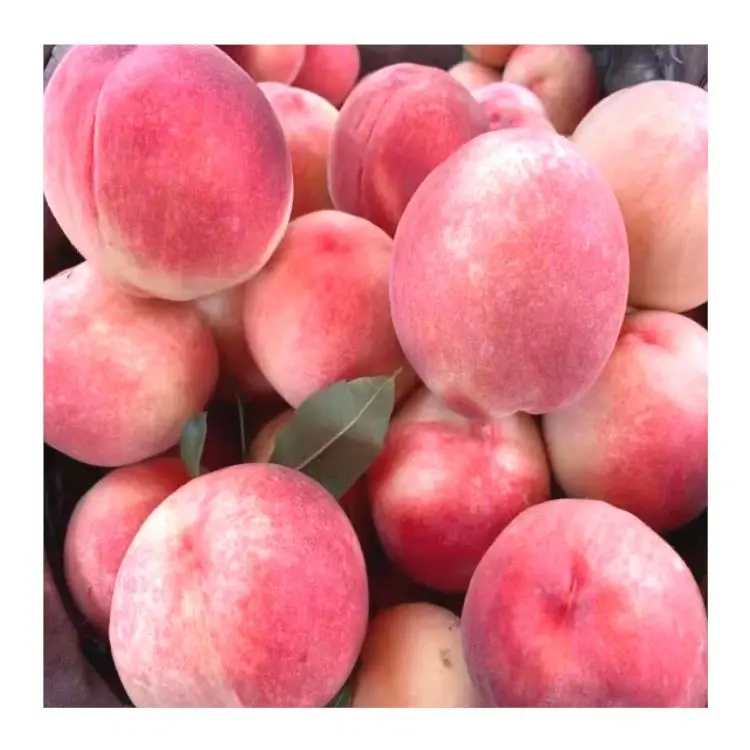Новый дизайн, цена, фрукты, высокое качество, оптовая продажа, Пекин № 7, свежие персики