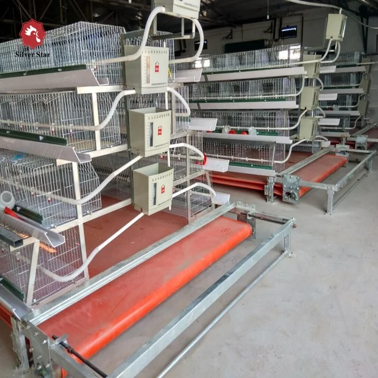 Automatic Pullet Chick Battery Cage for Day Old Layer Chick Cage