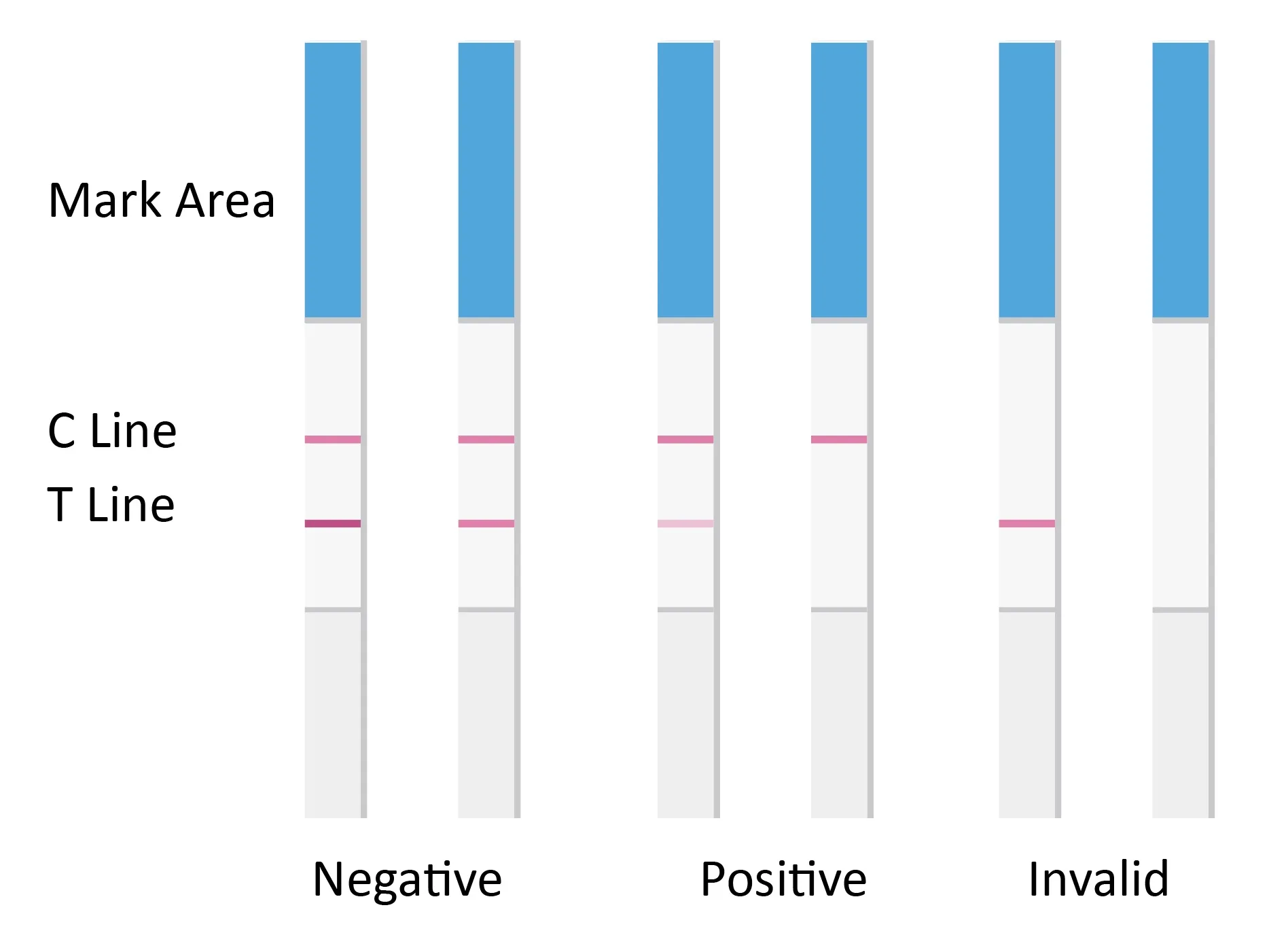 milk antibiotics test