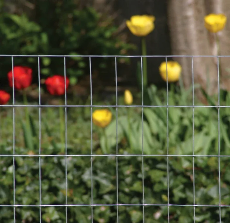 China Manufacture Top Quality Galvanized Or PVC Coated Economical And Durable Welded Wire Mesh For Protection