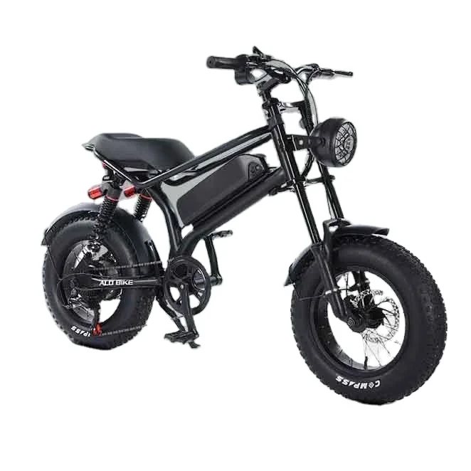 beach cruiser Fat Tire 48V 750W Motor electric bicycle bici elettrica 1000W electric bike for adult from China