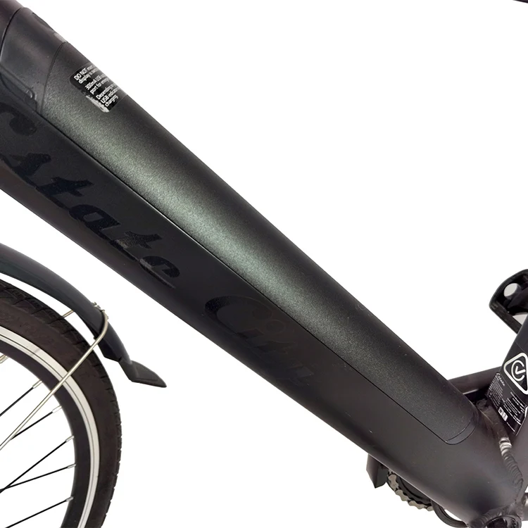 2021 hot selling 36V 10Ah electric bike cheap, lithium battery 350w-1000w motor electric city bike Manufacturer