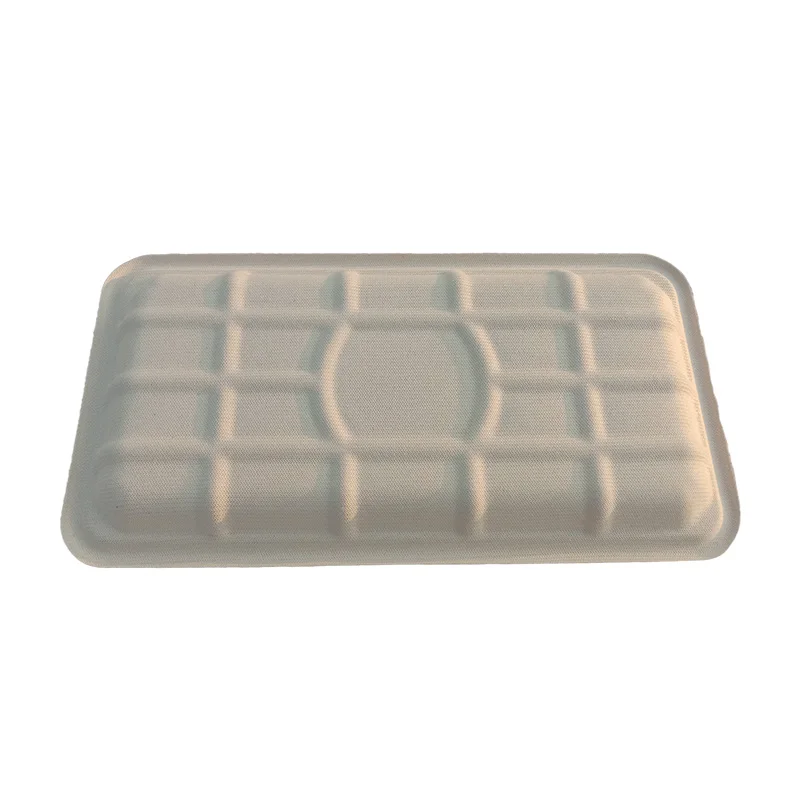 Portable 100% Biodegradable China Food Trays Nature Color No Plastic Sugarcane Pulp Tray Total Green