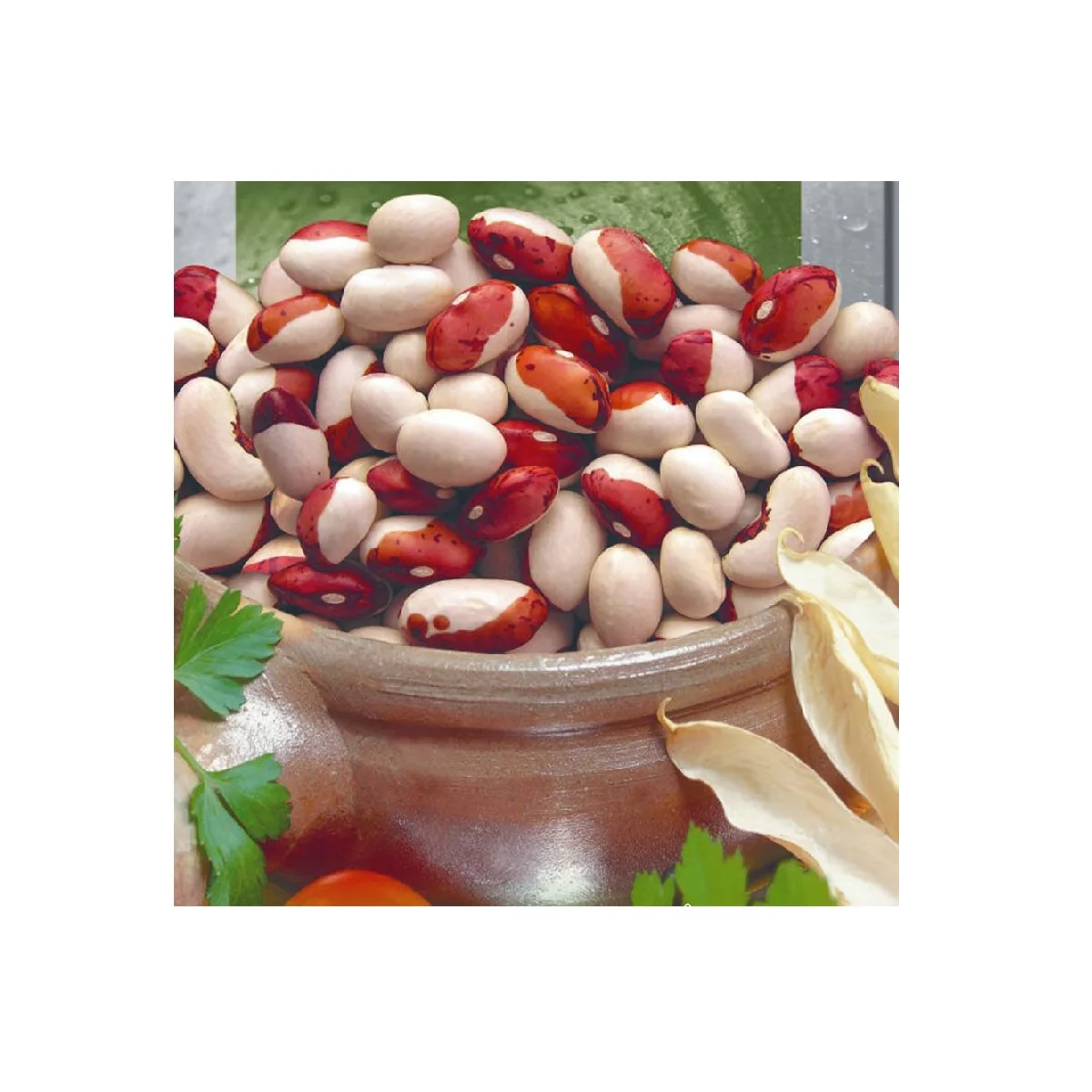 Non-GMO High Grade Natural Bulk Dried Red Beans from Uzbekistan Dry Tomato Red Riding Kidney Beans for Food