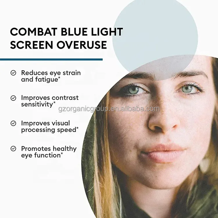 Areds 2 Eye Vitamins- Lutein Zeaxanthin & Bilberry Extract For Supports Eye Strain Dry Eyes and Vision Kid Health