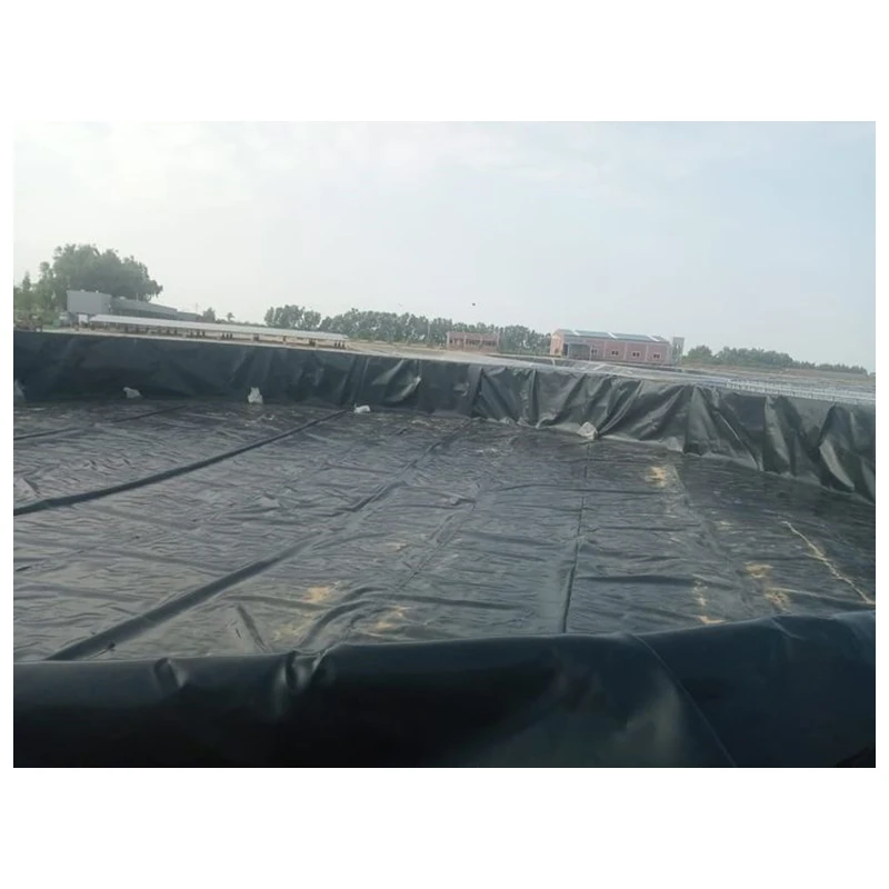 Вкладыши для бассейна из ПВХ hdpe геомембранные вкладыши рыбоводство битум водостойкие аквариумы рыбоводства геомембраны