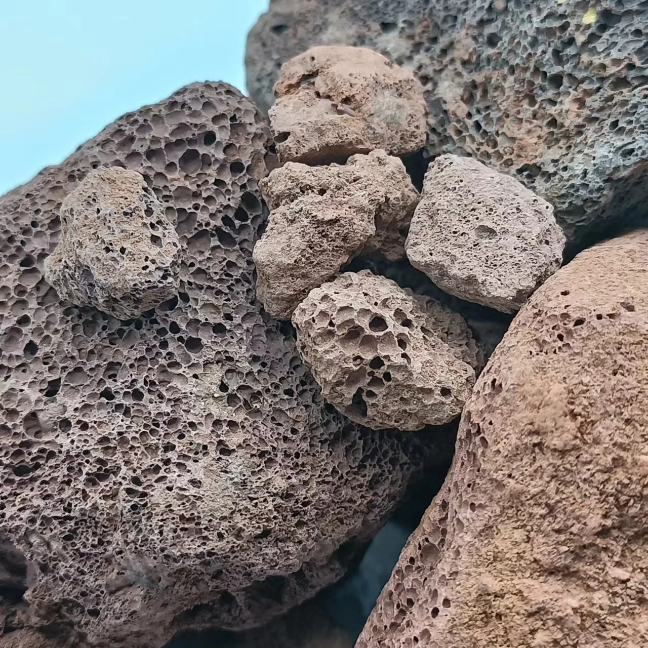 Natural lava pumice stone  for Agriculture