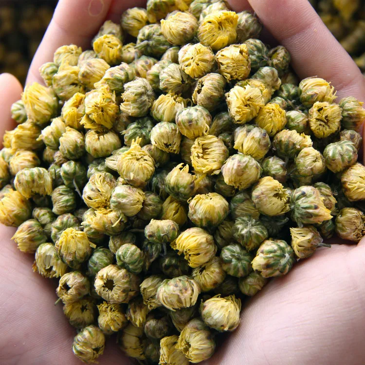 Wholesale Chinese herbal tea -high-quality fetal chrysanthemum flower tea