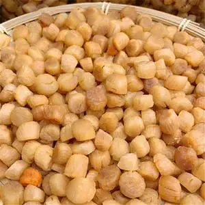 Wholesale Seafood Without Shell Dried Scallop